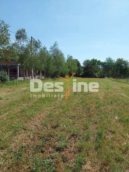 Teren de 12500 mp, în Drajna