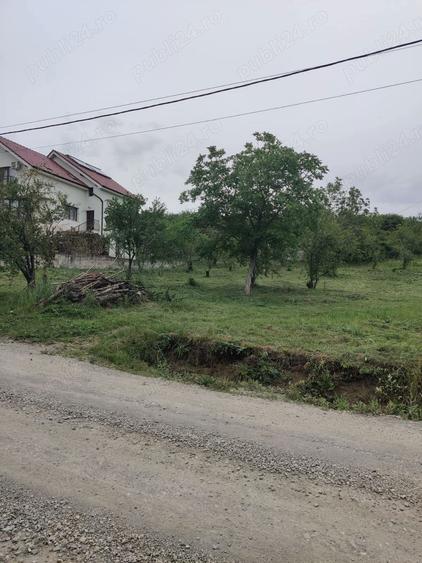 Teren de 14251 mp, în Podgoria