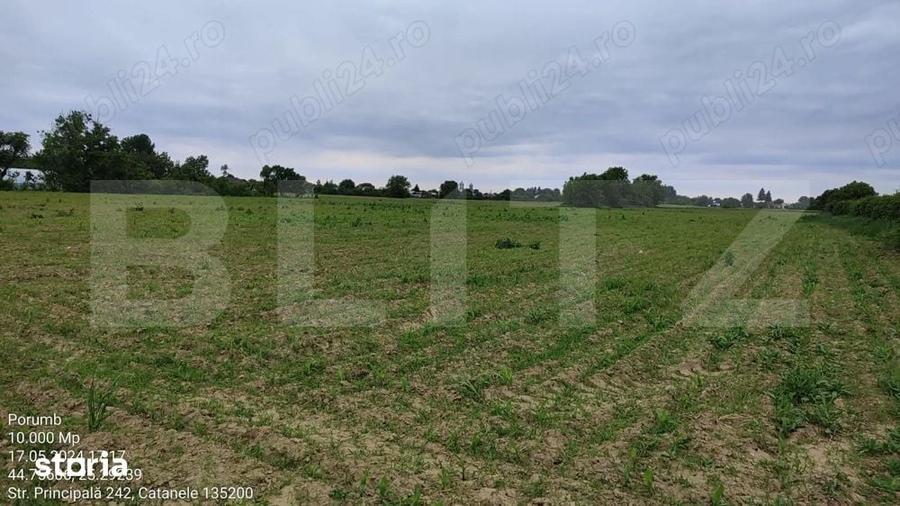 Teren 1 hectar Intravilan + Extravilan | Acces facil | Post Trafo - 1