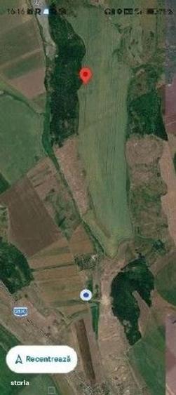 Teren de 15900 mp, în Probota