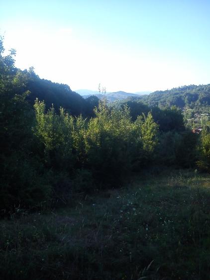 Teren agricol extravilan în Vărbilău