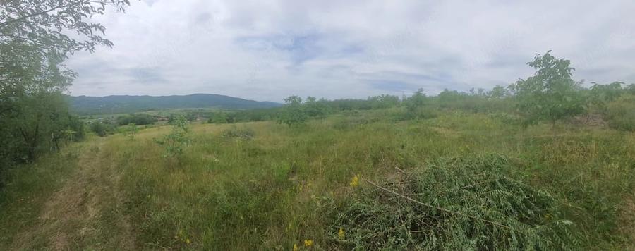 Teren de 11300 mp, în Runcu