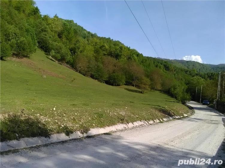 Teren de 5500 mp, în Pietroasa