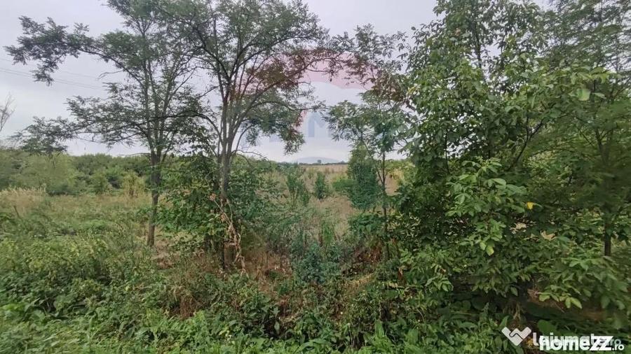 Teren de 2341 mp, în Uileacu de Munte