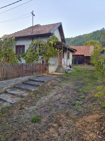 Casă cu 2 camere în Căpușu Mare