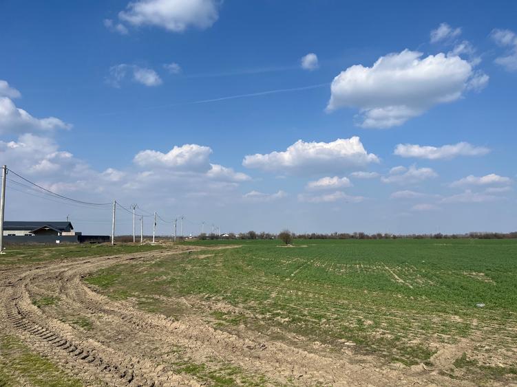 Teren Construcții intravilan de 5000 mp, în 1 Decembrie