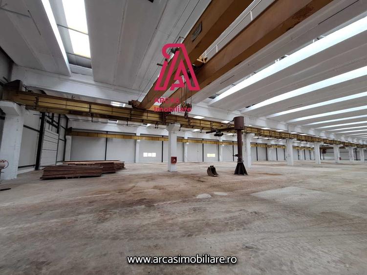 Spațiu industrial, de 6,857 mp, în Mârșa