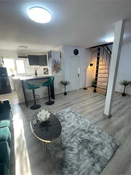 Surduc Lake house 574 - 14