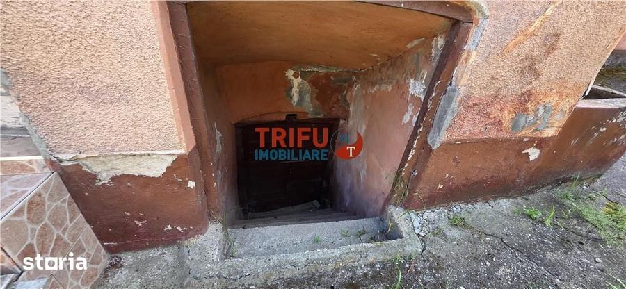 Casă cu 2 camere cu Teren 1600 Mp în Ighiu