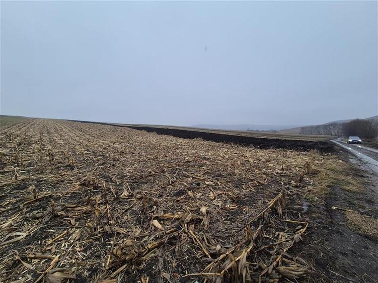 Teren agricol intravilan de 7400 mp, în Moara Carp