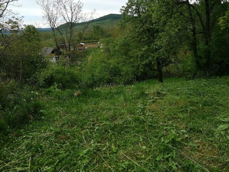 Teren de 714 mp, în Iedera