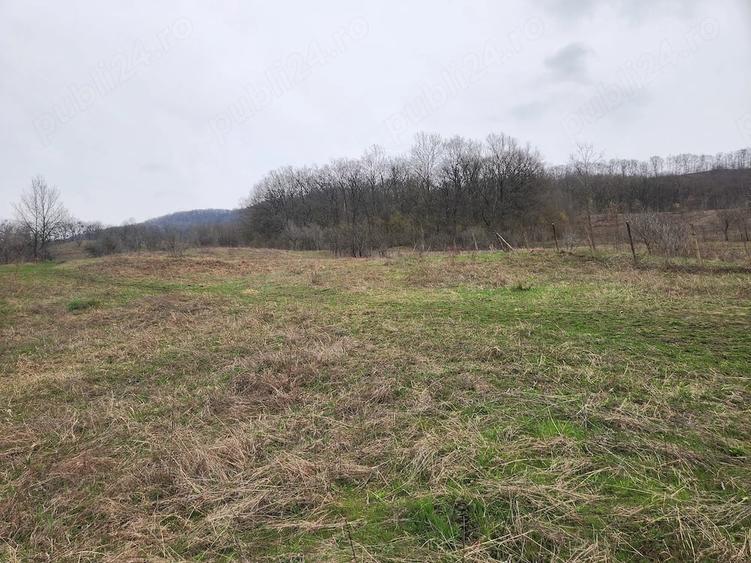 Teren de 8000 mp, în Șoimari