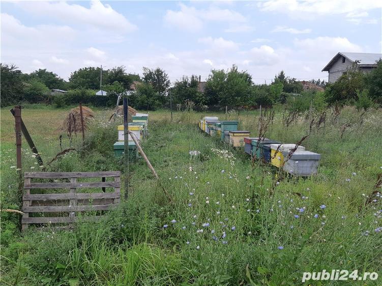 Teren de 1000 mp, în Căldăraru