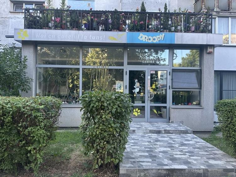 Spațiu comercial, de 99 mp, în Exterior Vest