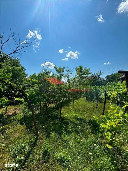 Casă cu 2 camere cu Teren 1000 Mp în Coldău
