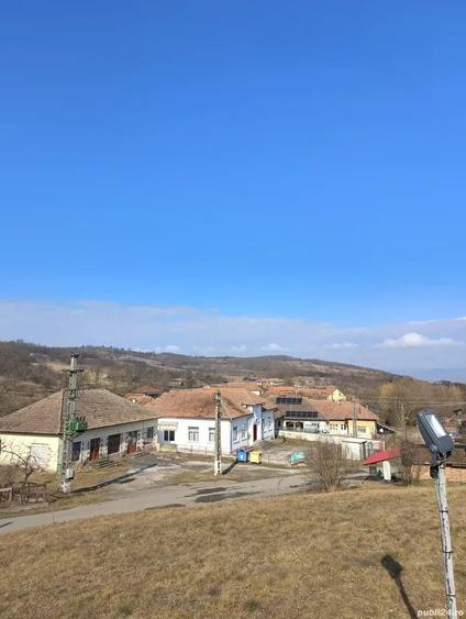 Teren de 4944 mp, în Dobra