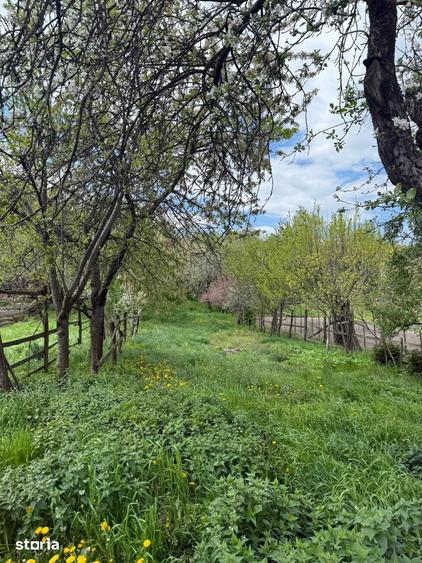 Casă cu 3 camere cu Teren 2093 Mp în Pianu