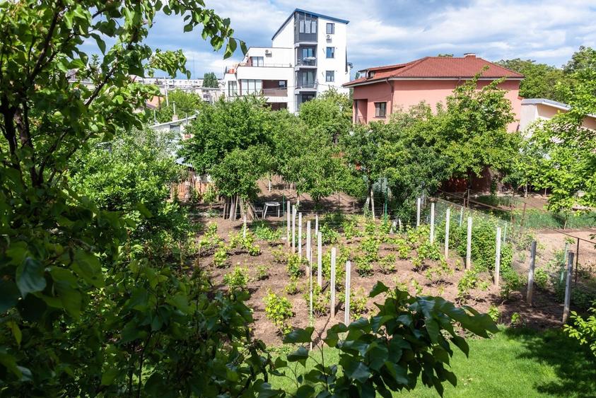 Casă individuală cu 4 camere cu Canalizare în Gorjului