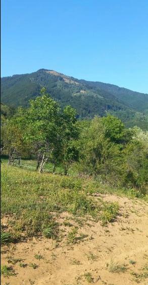 Teren de 1000 mp, în Corbeni