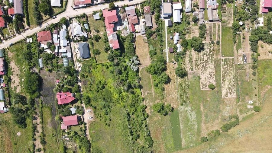 Teren de 2500 mp, în Tâncăbești