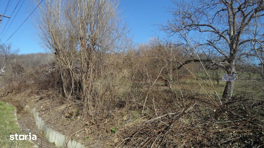 Teren de 4733 mp, în Răzvad