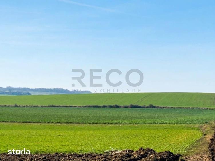 Teren de 42050 mp, în Tăut