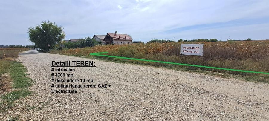 Teren Construcții intravilan de 4700 mp, în Palanca