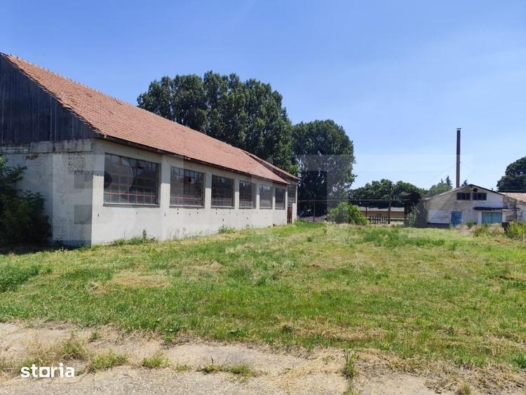 Teren de 32000 mp, în Stoicănești
