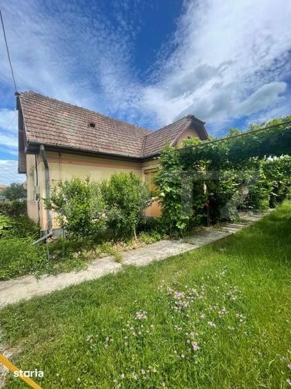 Casă cu 3 camere cu Teren 2000 Mp în Viișoara