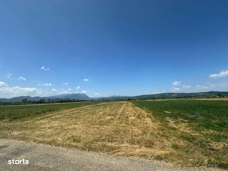 Teren 5000 mp Glajerie, zona Rasnov - 3