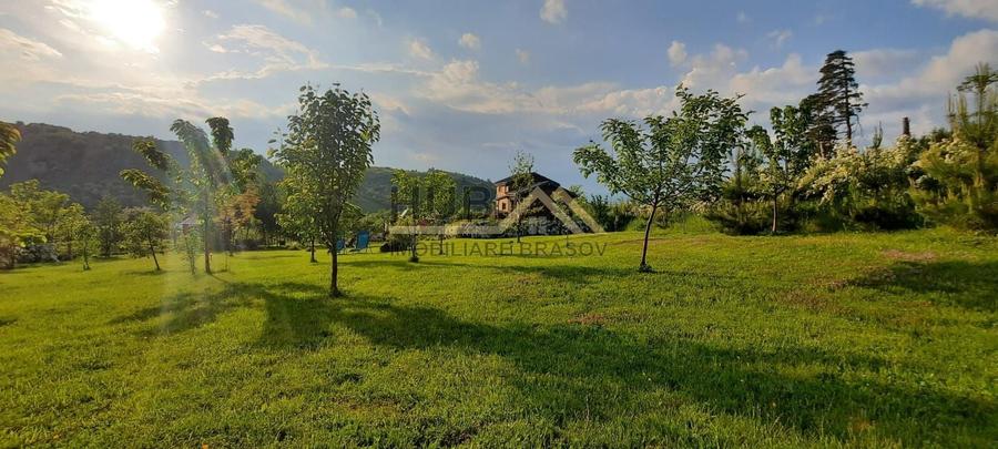 Teren Construcții intravilan de 5300 mp, în Tărlungeni