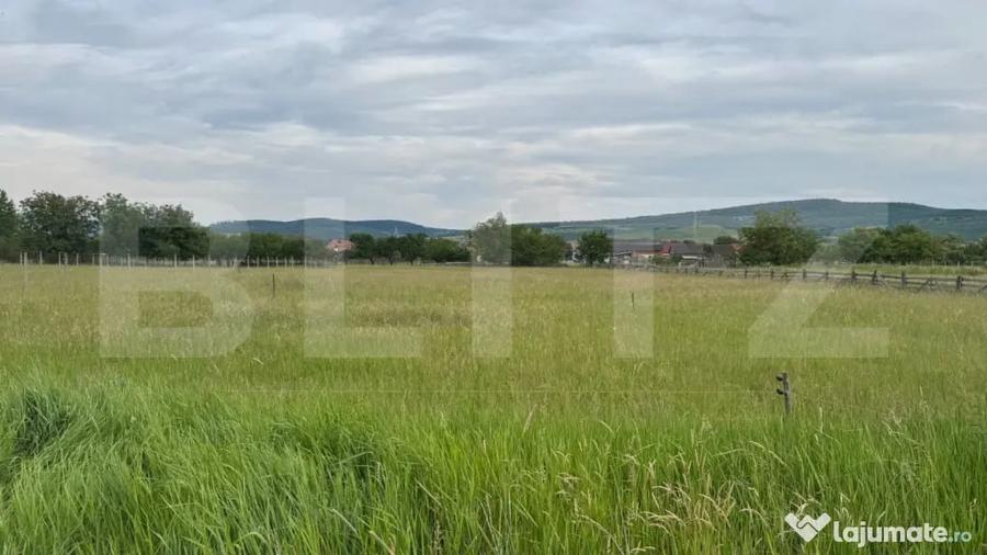 Doua parcele a cate 1100 mp de teren intravilan in Livezile - 2