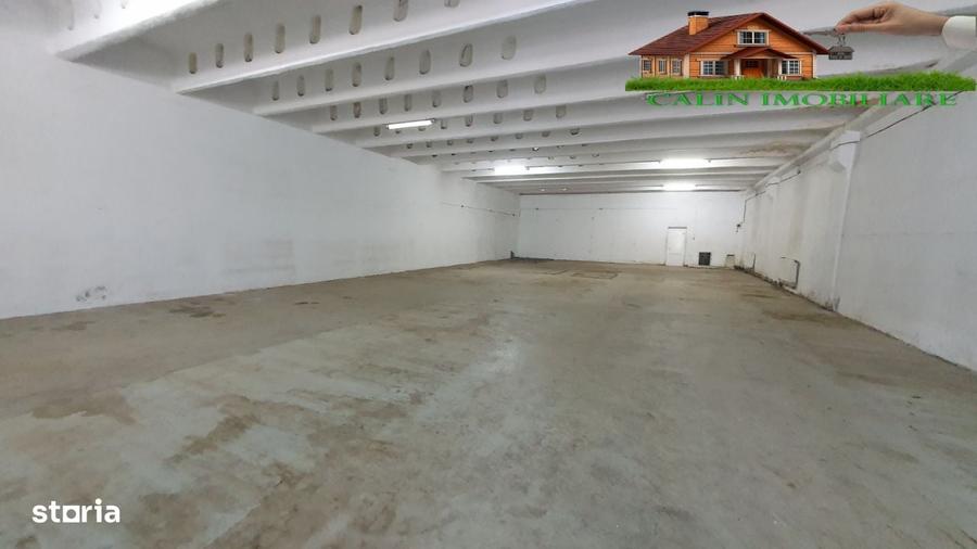 Hala RAMPA Bucium 273 mp Depozitare/Produc?ie/Logistica 5 Euro/mp - 6