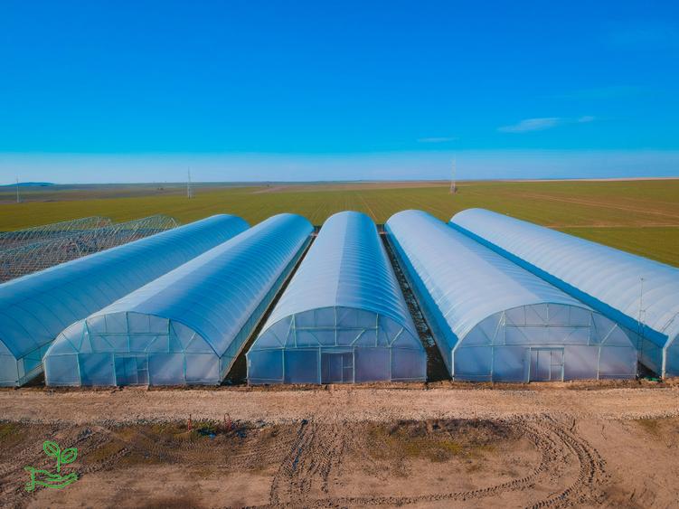 Teren agricol extravilan de 6.5 mp, în Miorița
