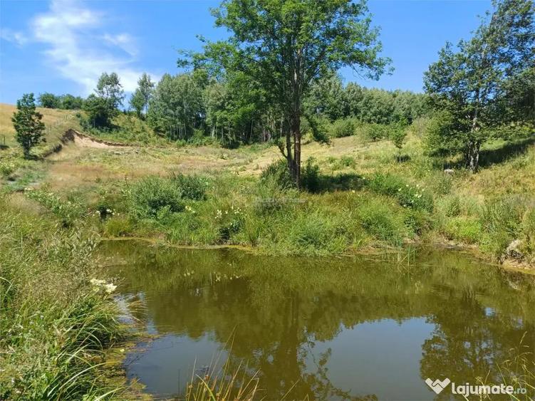 Teren de 4500 mp, în Brebu
