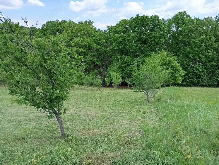 Teren de 1370 mp, în Băbana