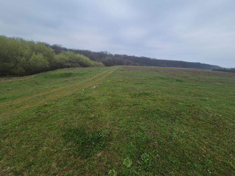 Teren extravilan de 10070 mp, în Lipoveni