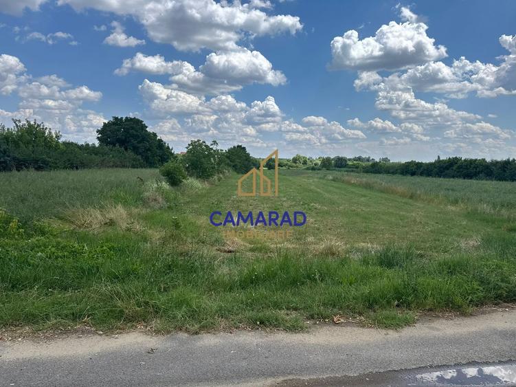 Teren Construcții extravilan de 4694 mp, în Buftea
