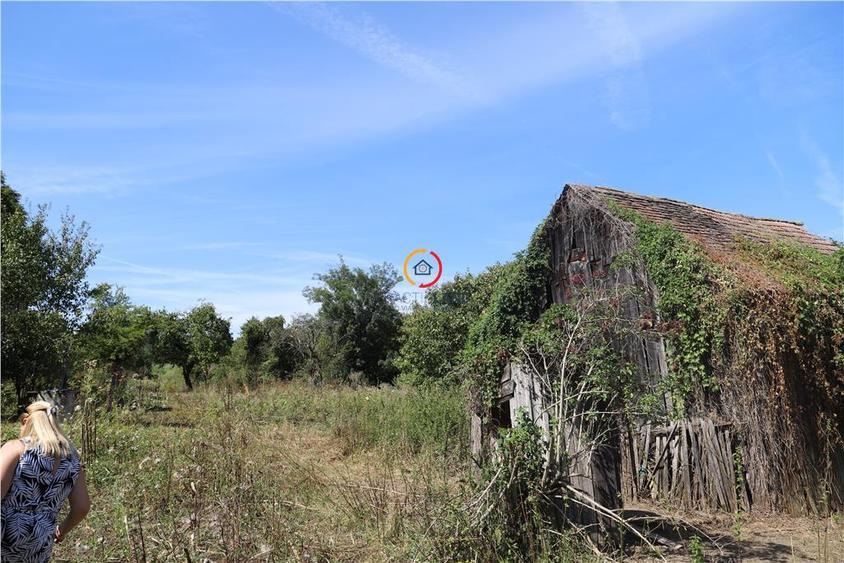 Casă individuală cu 3 camere cu Teren 2556 Mp în Bruiu