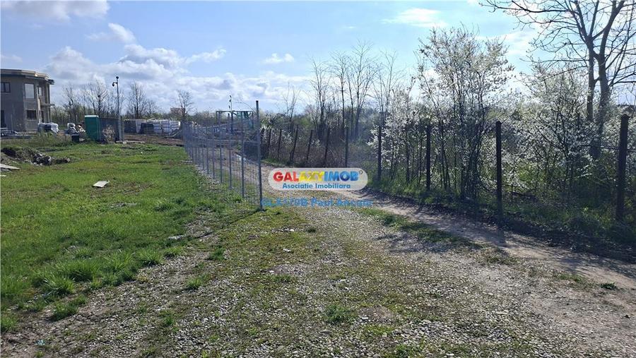 Teren Construcții intravilan de 1246 mp, în Săftica