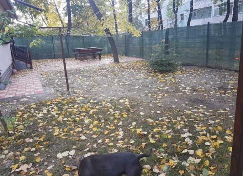 Apartament 3 camere Podu de Piatra - 9