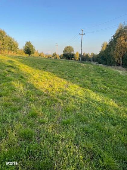 Teren de 5200 mp, în Râșca