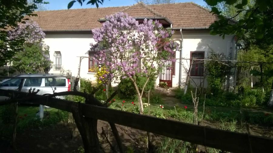 Casă cu 4 camere în Giubega