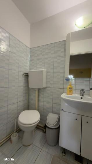 Casa, 6 camere, 2000 mp teren, Mera Noua - 16