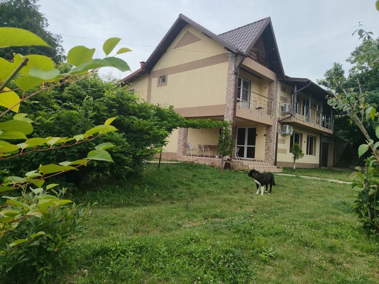 Casă cu 2 camere cu Teren 2000 Mp în Dincani