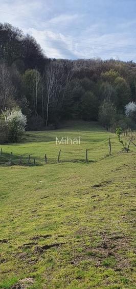 Teren intravilan Closani, Gorj,8674 mp pensiune/ casa vacanta