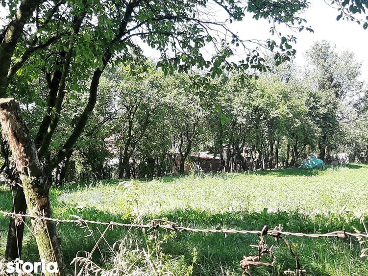 Teren de 1500 mp, în Aiton