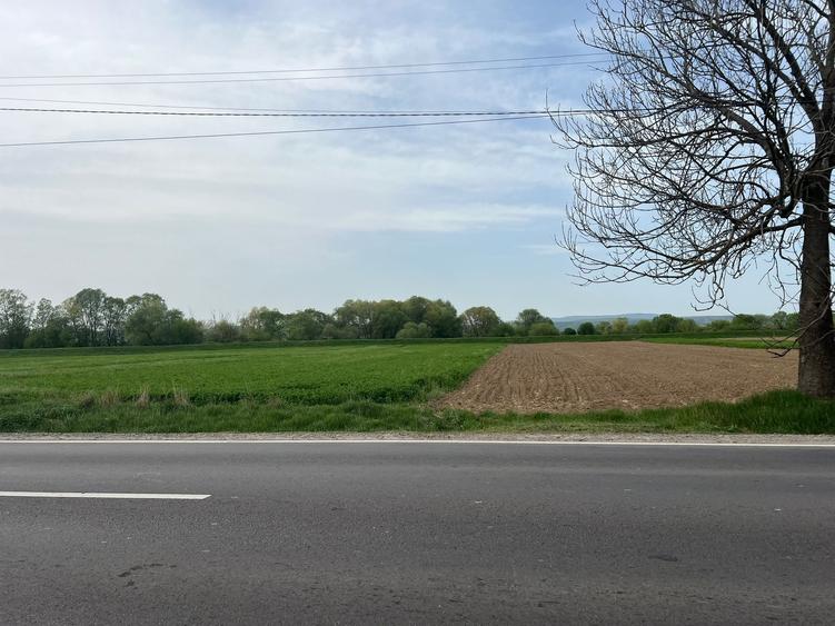 Teren Construcții intravilan de 2400 mp, în Lunca Calnicului