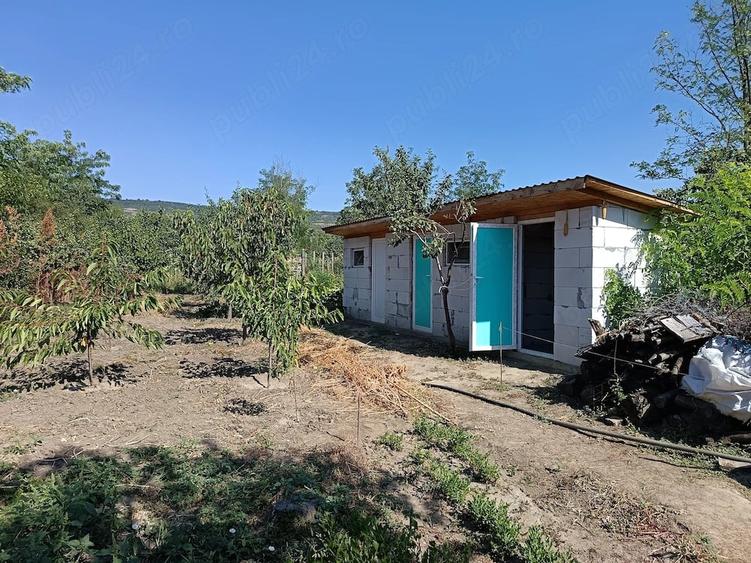 Casă cu 3 camere cu Teren 860 Mp în Pietroasele