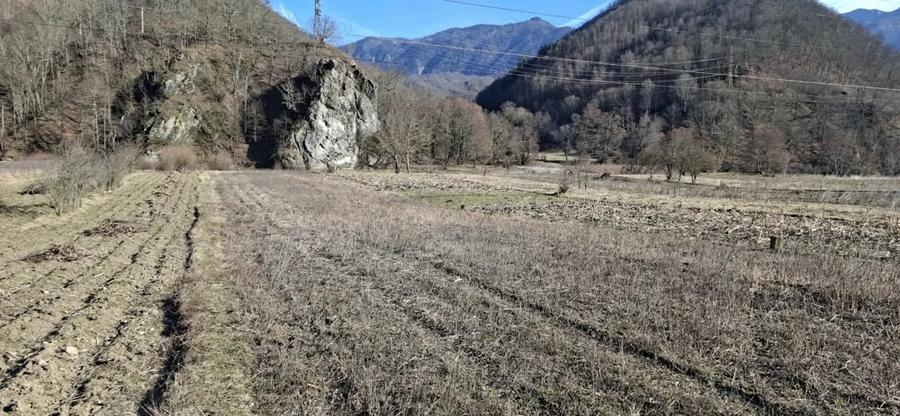 Teren de 2800 mp, în Călinești